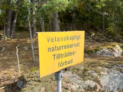 Continuation of the study measuring oaks in Vessers Udde