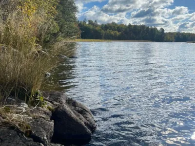 Rocky shoreline with birch trees and grass along a calm lake under a blue sky with white clouds