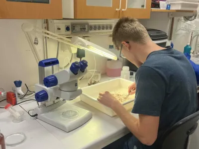 Student working with sand in a white tray at a laboratory microscope station with blue equipment