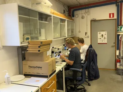 Taxonomic workshop on Hymenoptera and Diptera completed at Station Linné