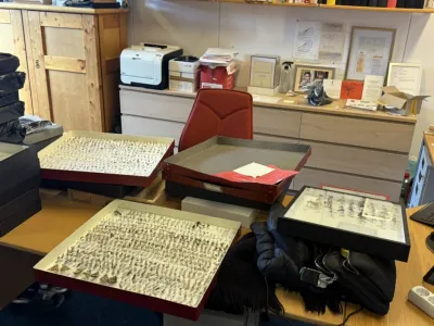 Taxonomic workshop on Hymenoptera and Diptera completed at Station Linné